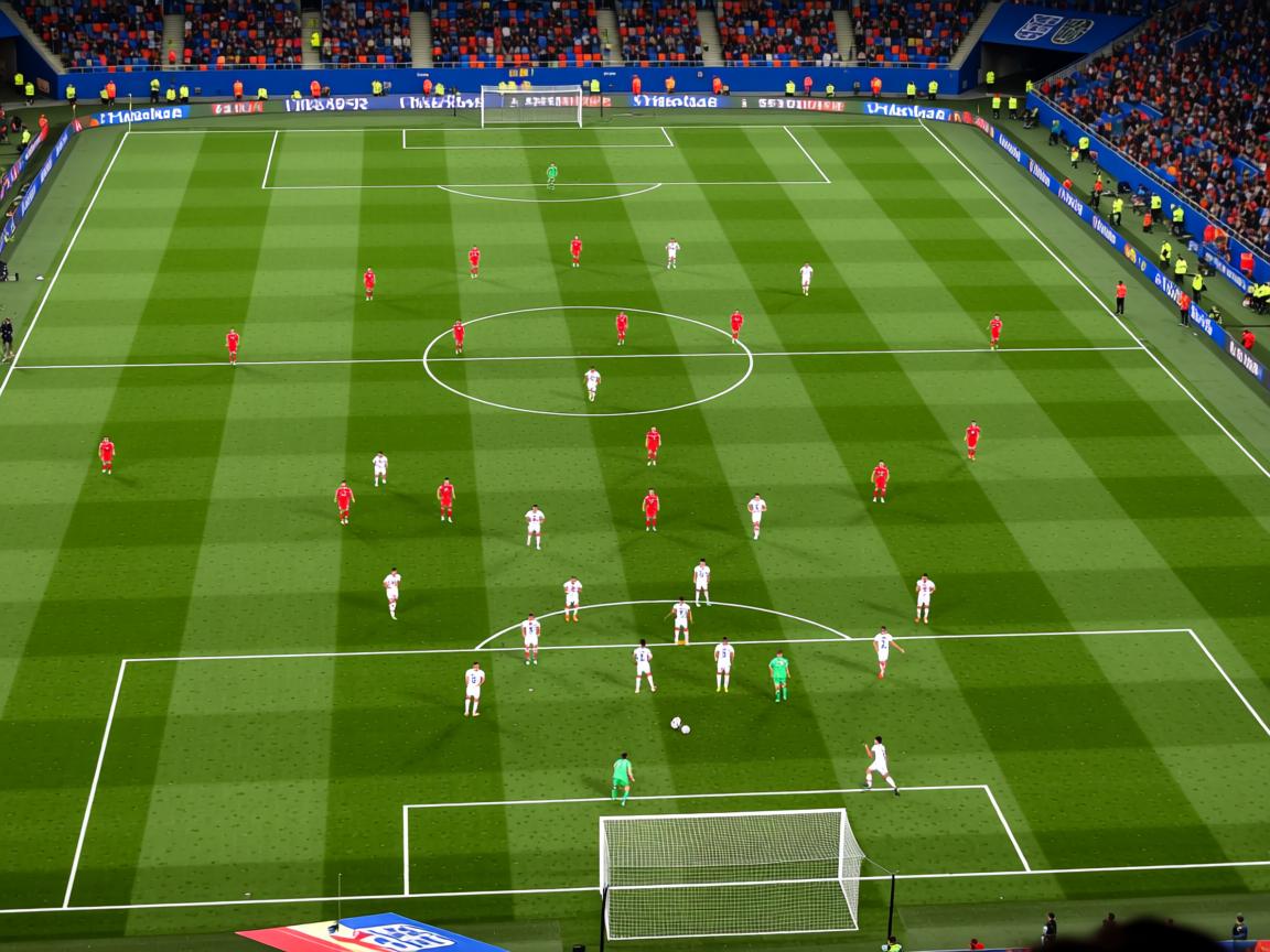 体育新闻中心主办体育短视频版权保护技术论坛，体育短视频下载